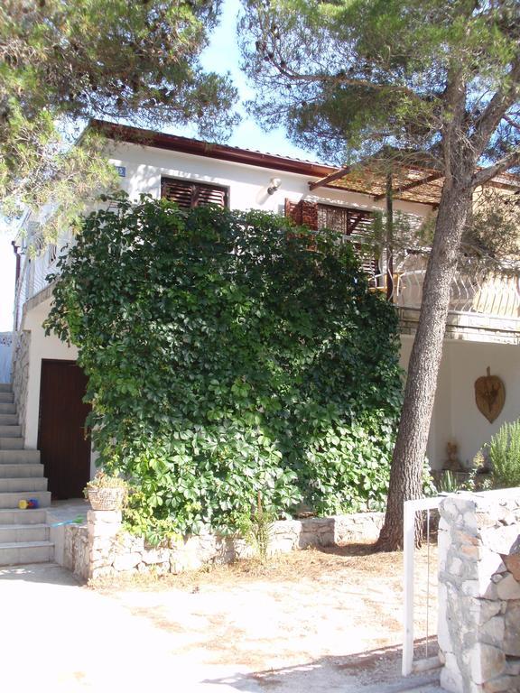 Apartman Fox Apartment Pirovac Exterior photo